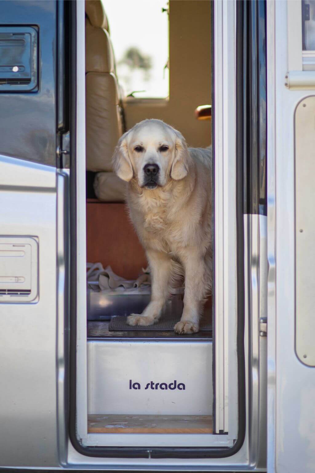 rusty camper campervermietung