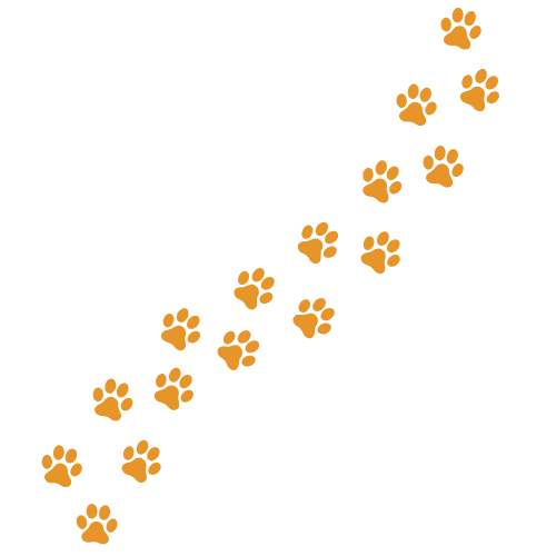 rusty camper vorteile