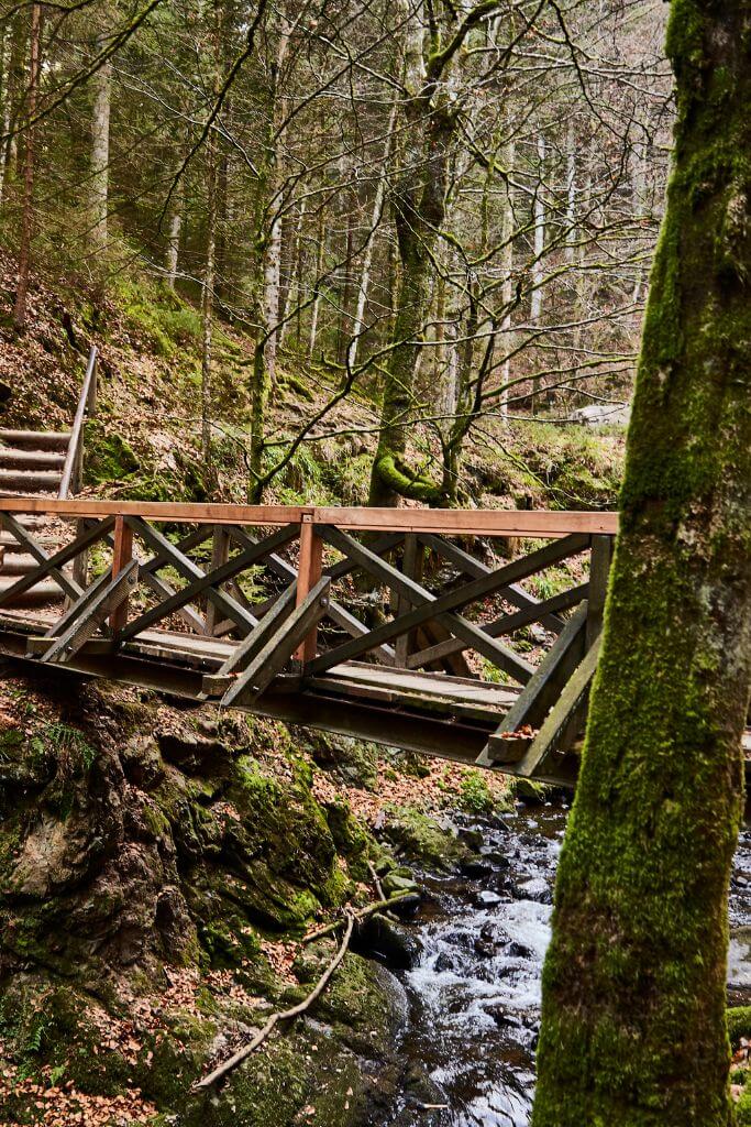schwarzwald campervan